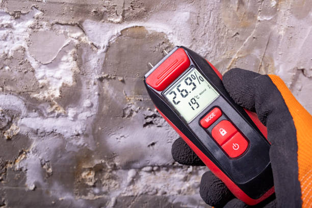 Best Mold Damage Repair  in Oak Hill, WV