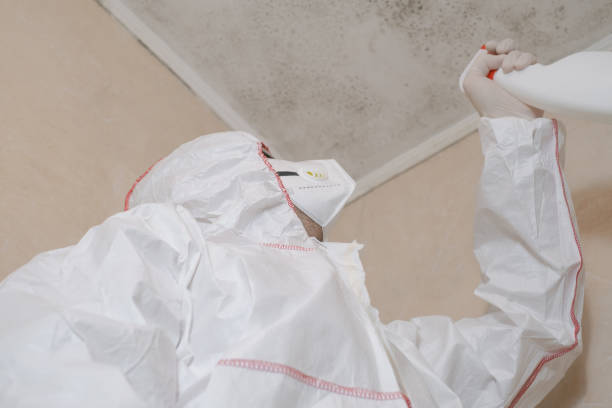 Best Emergency Mold Removal  in Oak Hill, WV